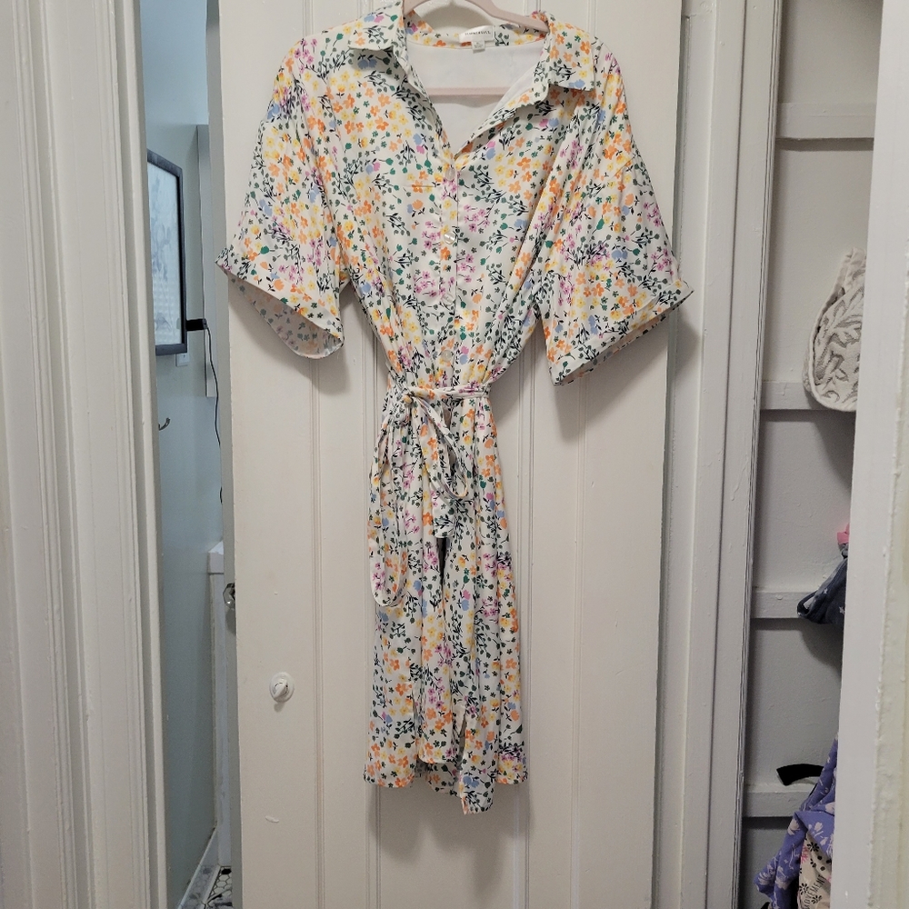 Anthropology white silk button up dress